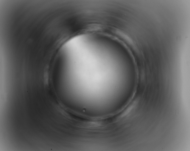 X0000092311409200709211241