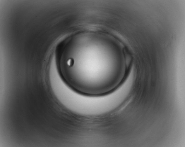 X0000092311410200709211241