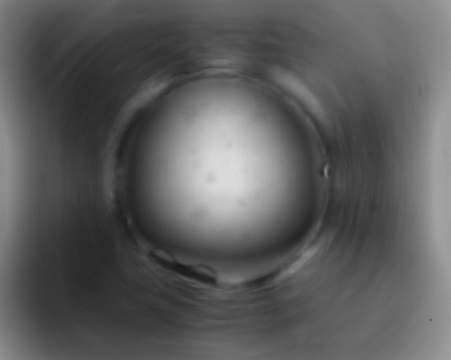 X0000092311411200709211241