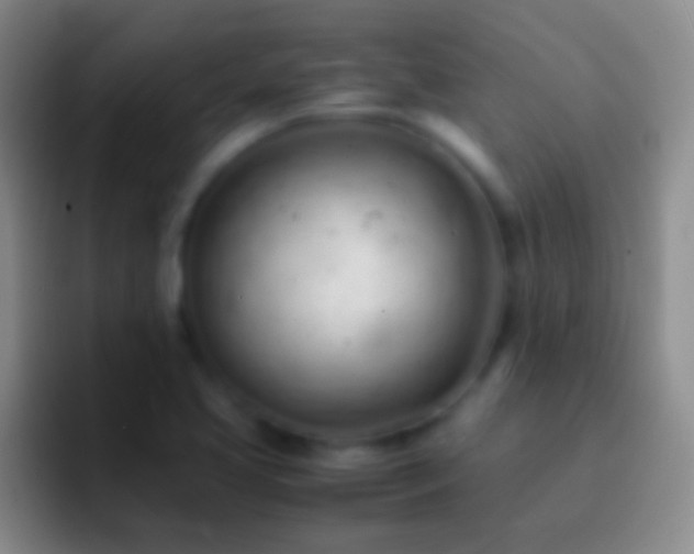 X0000092311413200709211241