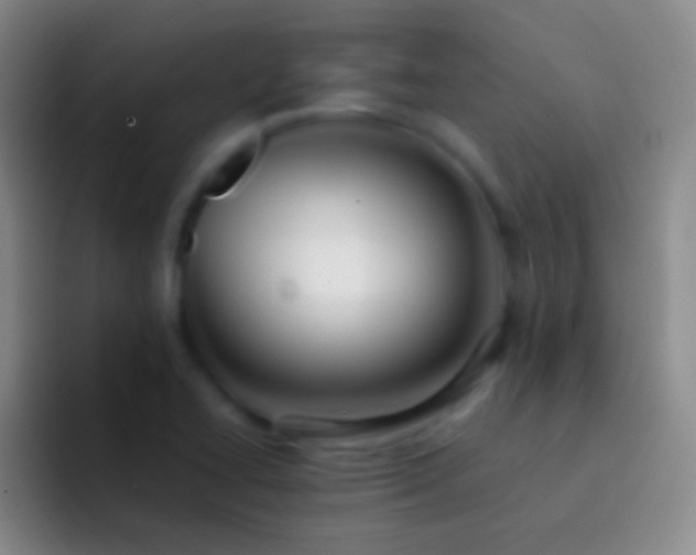 X0000092311414200709211241