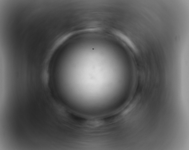 X0000092311415200709211241