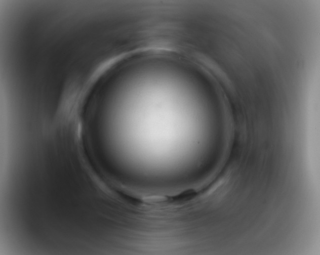 X0000092311416200709211241