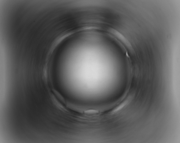 X0000092311417200709211241