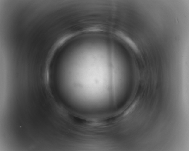 X0000092311419200709211241
