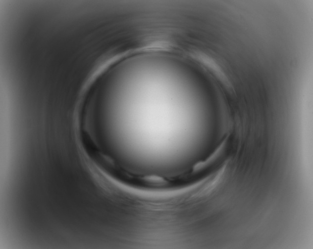 X0000092311422200709211241