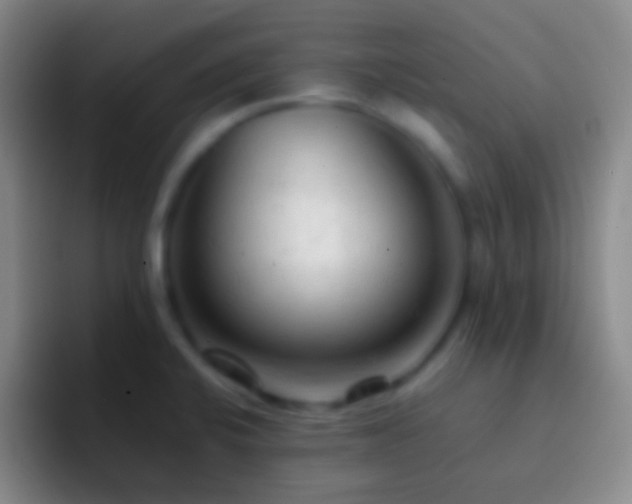 X0000092311424200709211241