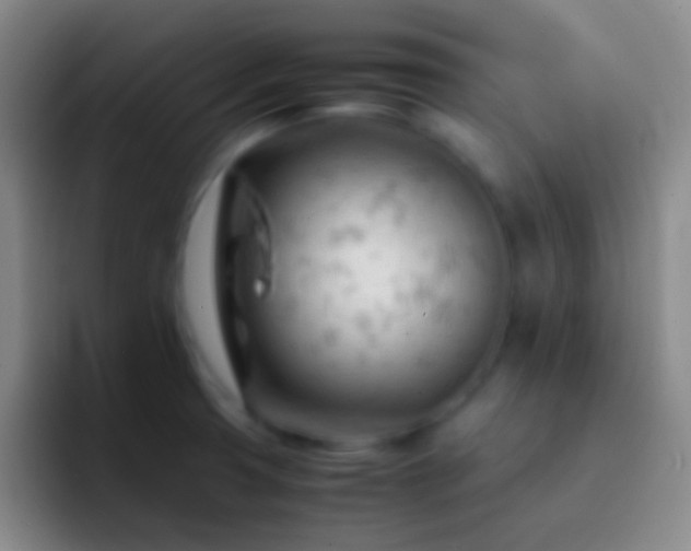 X0000092311425200709211241