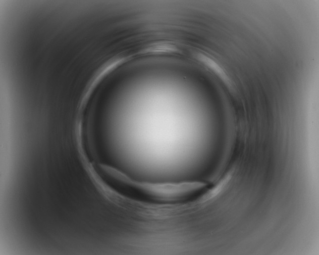 X0000092311426200709211241