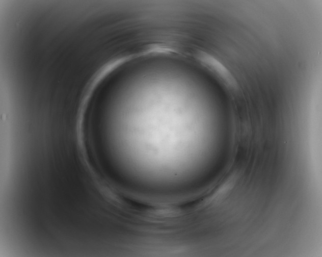 X0000092311427200709211241