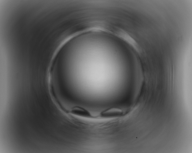 X0000092311428200709211241