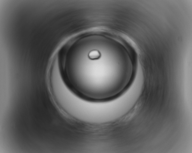 X0000092311430200709211241