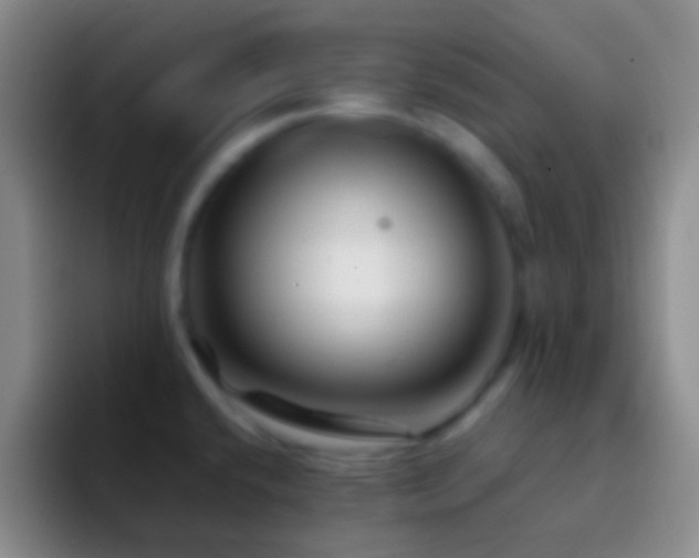 X0000092311432200709211241