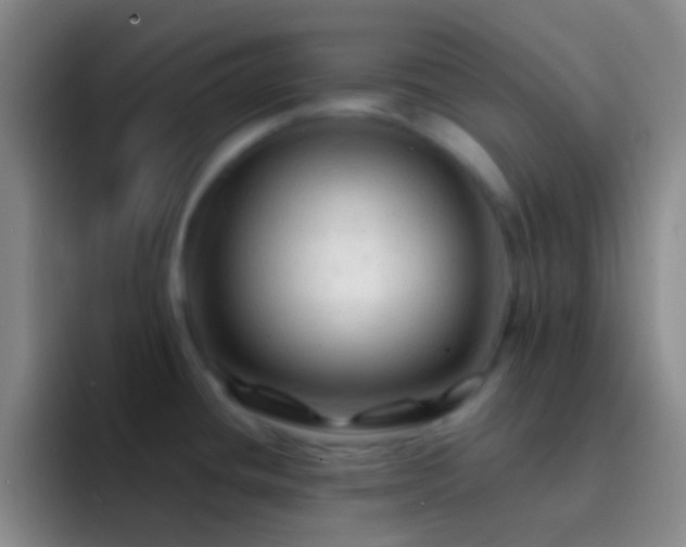X0000092311436200709211241