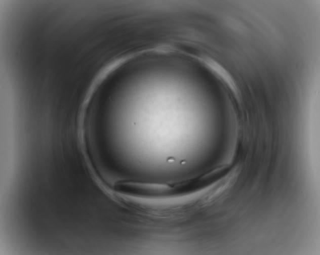 X0000092311437200709211241