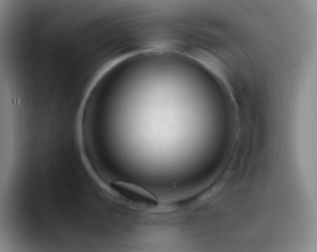 X0000092311440200709211241