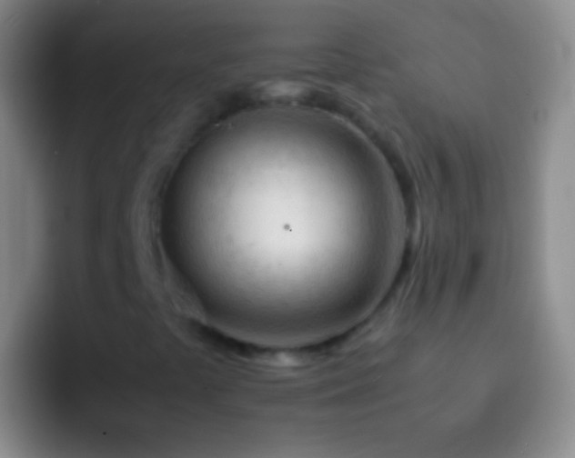 X0000092311441200709211241