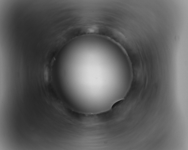 X0000092311442200709211241