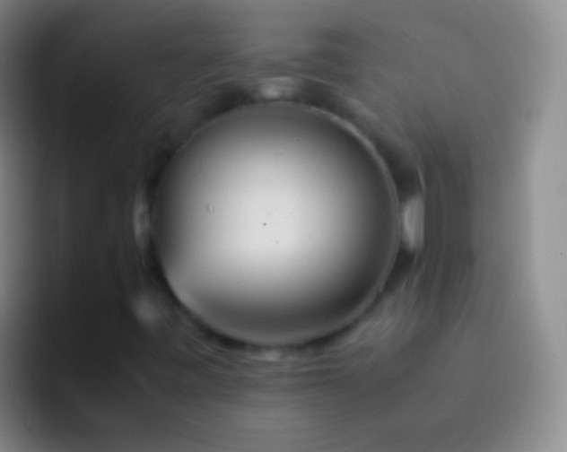 X0000092311443200709211241