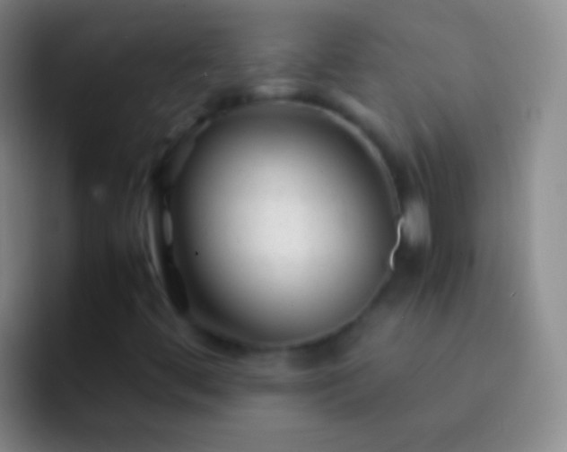 X0000092311444200709211241