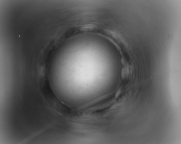 X0000092311445200709211241