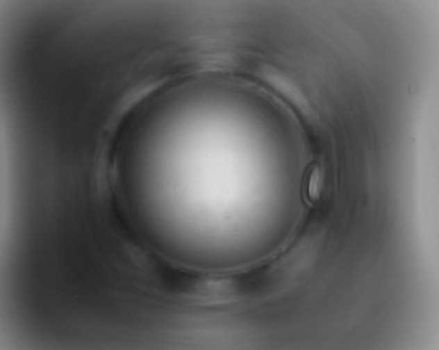 X0000092311453200709211241