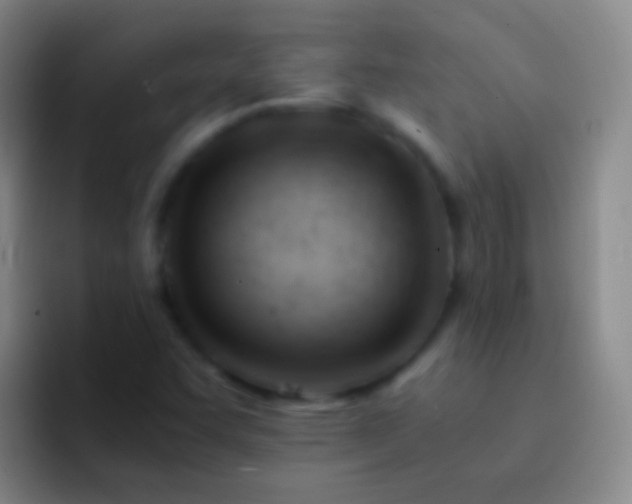 X0000092311455200709211240