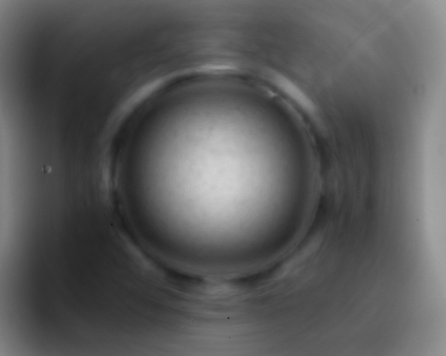 X0000092311456200709211240