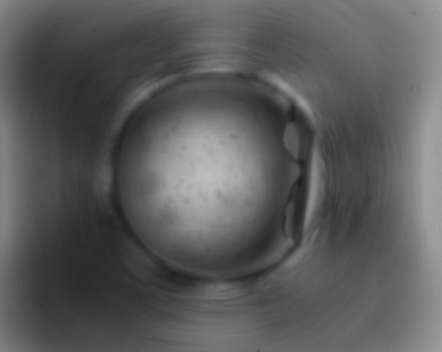 X0000092311459200709211240