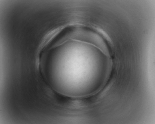 X0000092311461200709211240