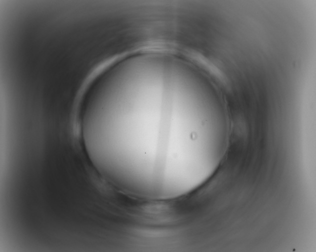 X0000092311462200709211240