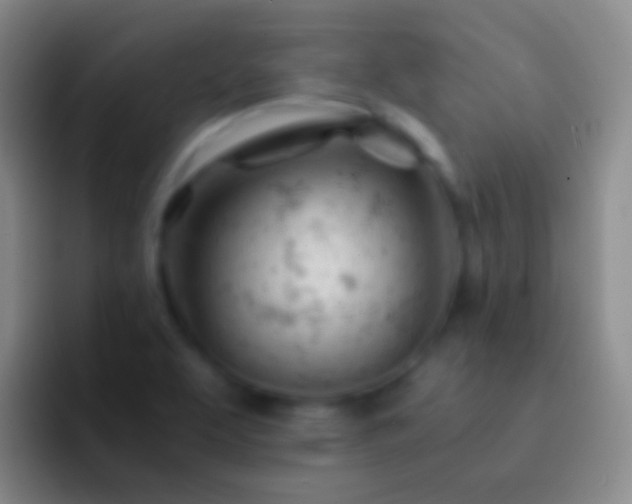 X0000092311463200709211240