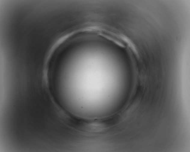 X0000092311464200709211240