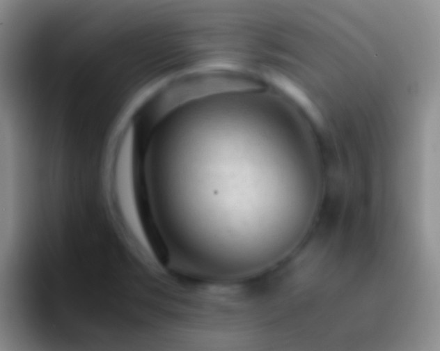 X0000092311469200709211240