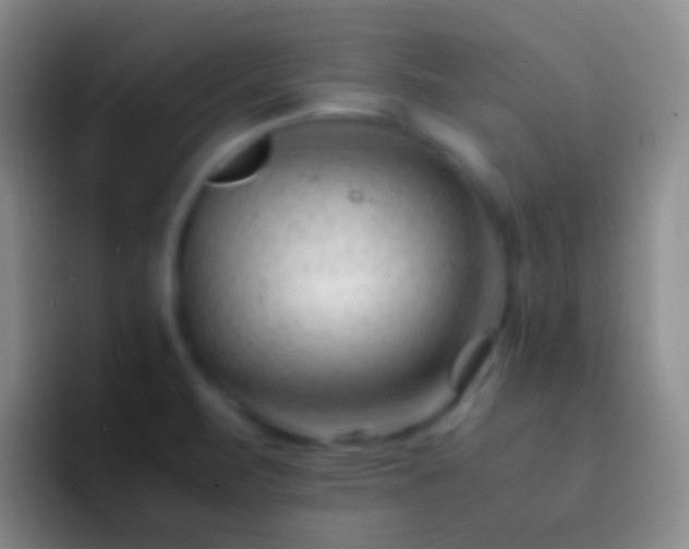 X0000092311471200709211240