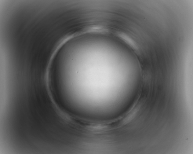 X0000092311474200709211240