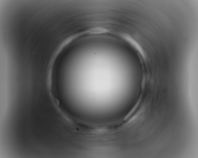 X0000092311477200709211240