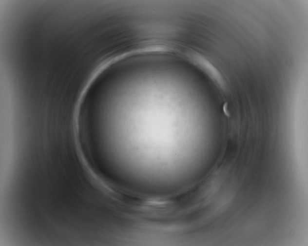 X0000092311483200709211240