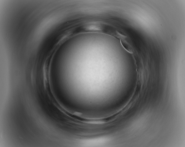 X0000092311487200709211240