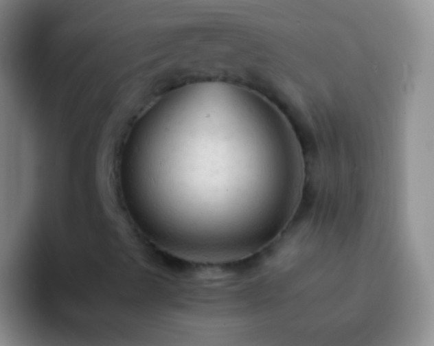X0000092311489200709211240