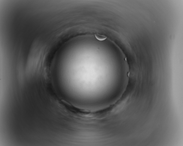 X0000092311490200709211240