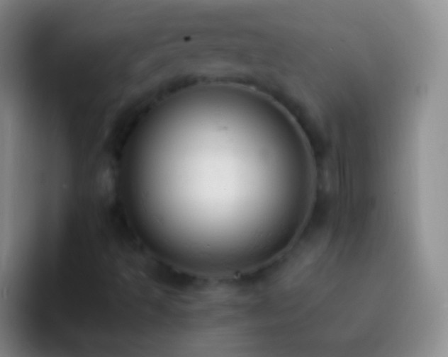 X0000092311493200709211240