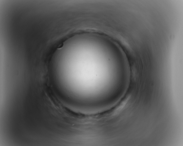 X0000092311494200709211240