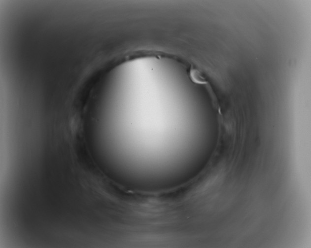 X0000092311495200709211240