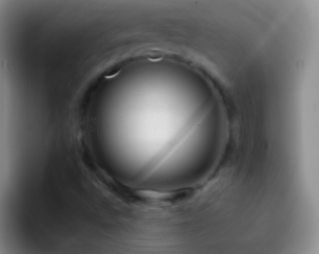X0000092311496200709211240