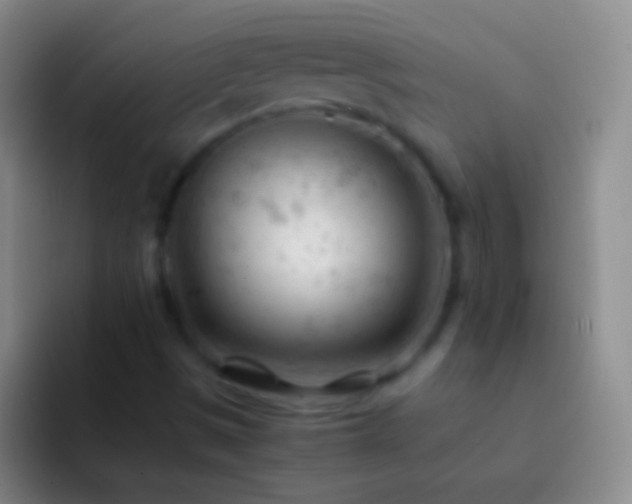 X0000092311497200709211240