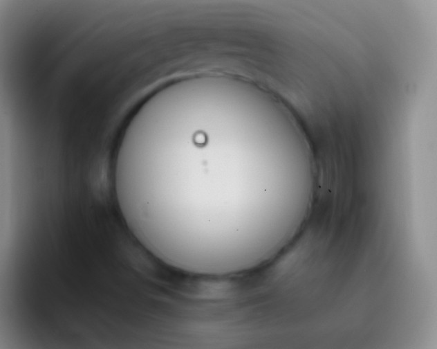 X0000092311498200709211240