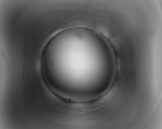 X0000092311500200709211240
