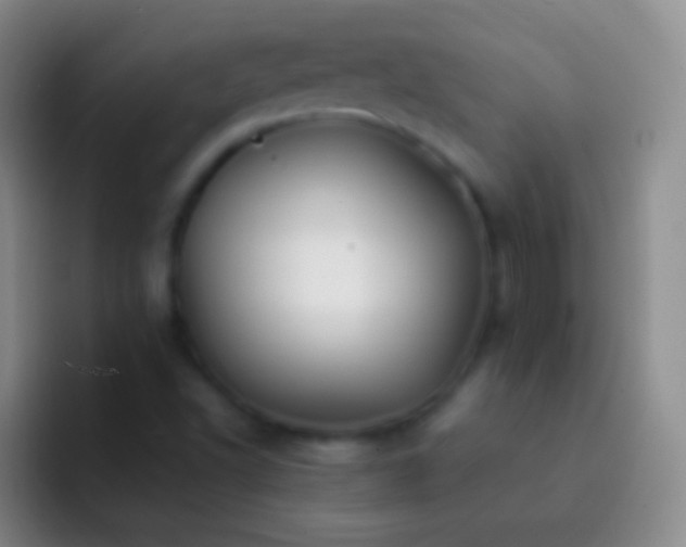 X0000092311502200709211240