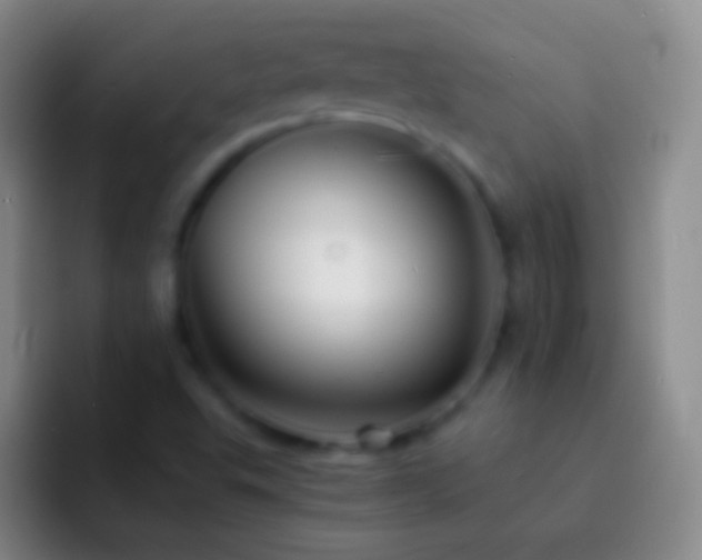 X0000092311503200709211240